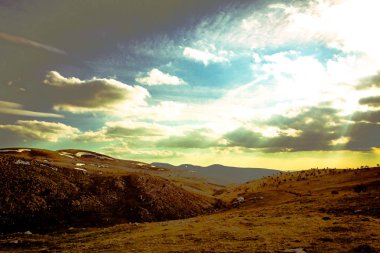 ağaç doğa bulut fotoğraf