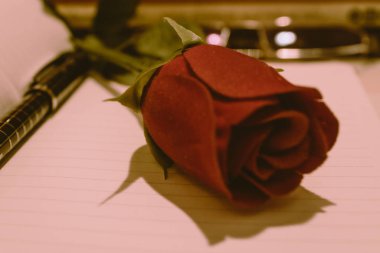 kitap, defter, kalem, Gözlük, çiçek