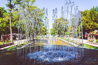 park, süs havuzu çiçek ve renk