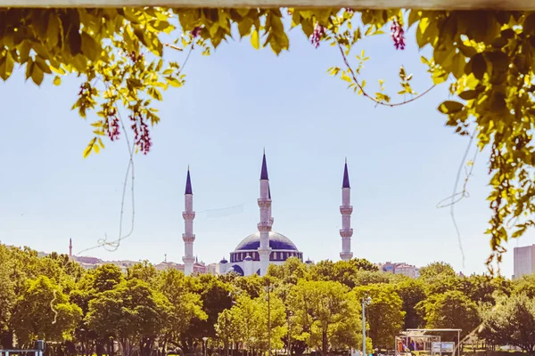 Mesquita Lugares Muçulmanos Culto — Fotografia de Stock