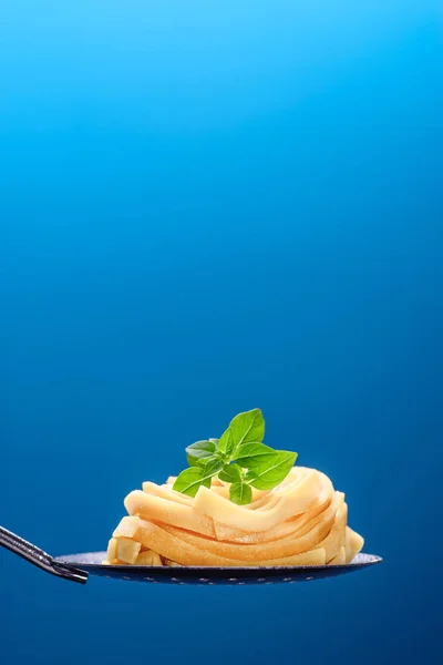 Fettuccine zelfgemaakte ongekookte pasta — Stockfoto