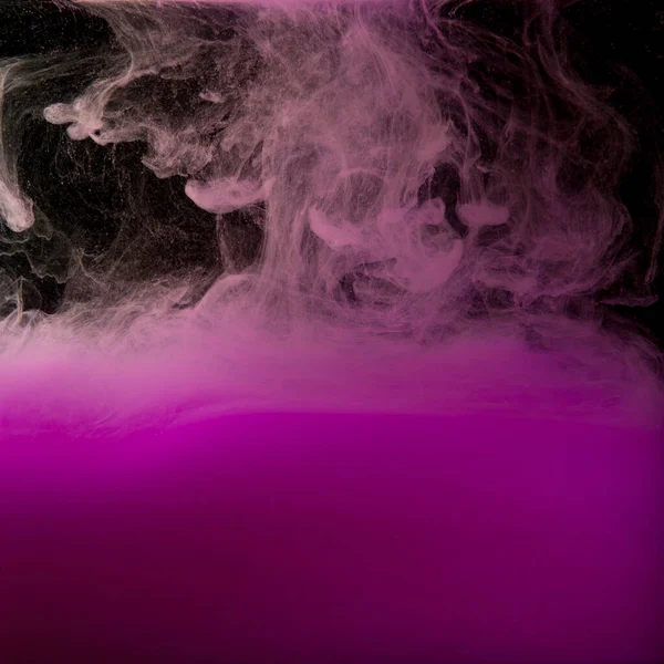 Color cloud of paint. Acrylic ink spreads in water. Colored purple abstraction is isolated on a black background. Close up.