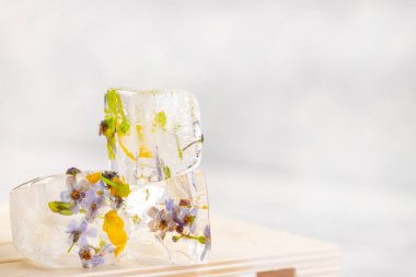 İçinde donmuş çiçekler olan şeffaf buz küpleri. İçkileri dekore etmek için yaratıcı bir konsept. Yakın plan.. 