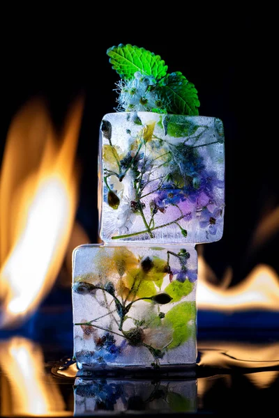Fire and Ice. Transparent ice cubes on a black background with fire and with frozen flowers inside. Creative concept for design. Close-up.