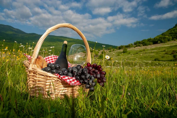 Hiking picnics in the mountains in summer or spring. A picnic basket with wine, fruits, grapes and bread stands on a meadow in the green grass. The concept of secluded outdoor recreation.