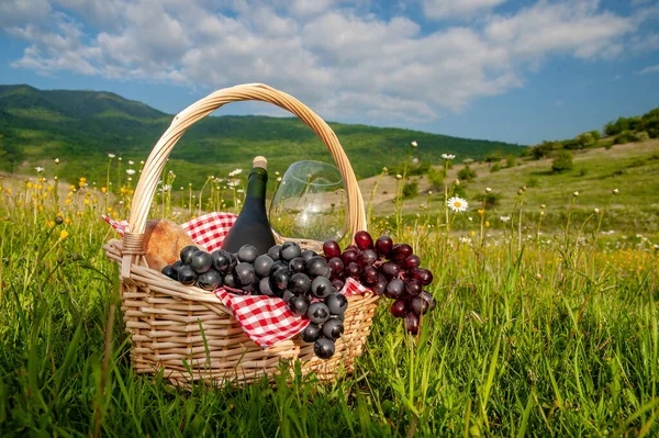 Hiking picnics in the mountains in summer or spring. A picnic basket with wine, fruits, grapes and bread stands on a meadow in the green grass. The concept of secluded outdoor recreation.