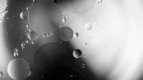 Abstract Black White Background Close Template Design Soft Flowing Shapes — Stock Photo, Image