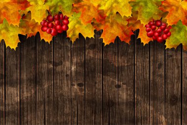 Autumn background. Dark wood board with fall leaves and berries.