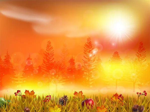 Помаранчева Осінь Природний Пейзаж Горіхами Фруктами — стокове фото