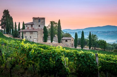 Tuscan bağ Castellina in Chianti, İtalya yakınındaki şafakta, sis kaplı Panoraması
