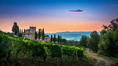 Tuscan bağ Castellina in Chianti, İtalya yakınındaki şafakta, sis kaplı Panoraması