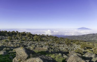 yaz aylarında dağların doğal görünümü