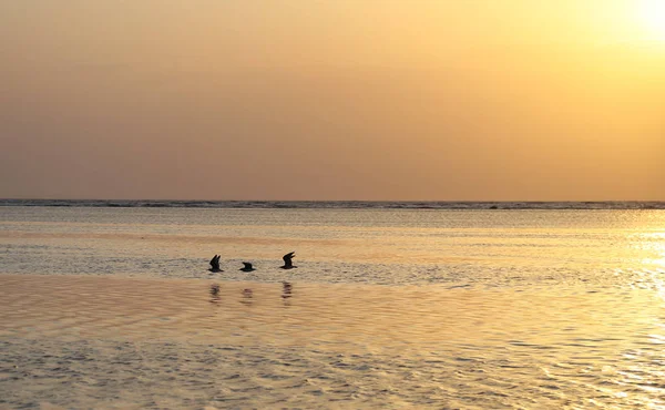 Sakin tropik okyanus üzerinde altın gün batımı manzara
