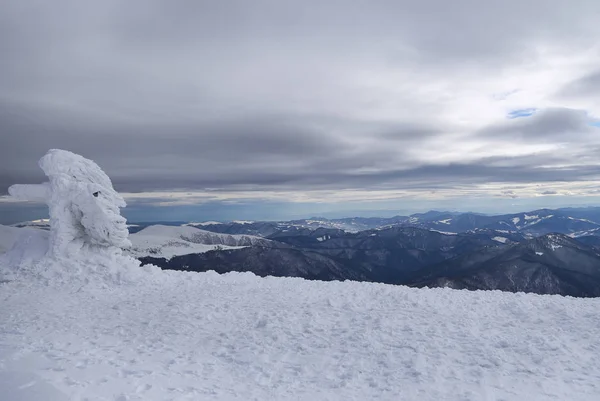kışın dağların doğal görünümü