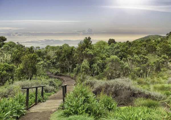Tepenin yıkıntıları.