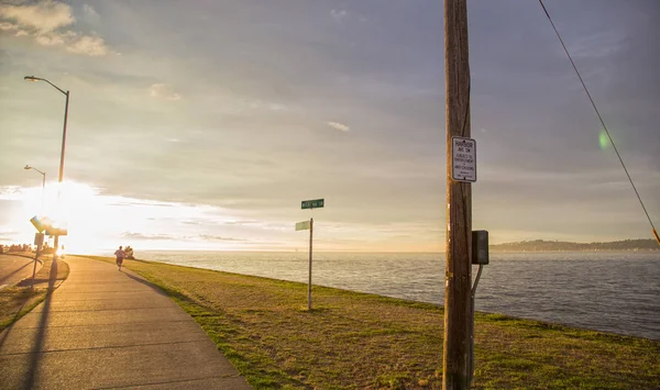 Gün batımında deniz kıyısında çalışan erkek siyah siluet