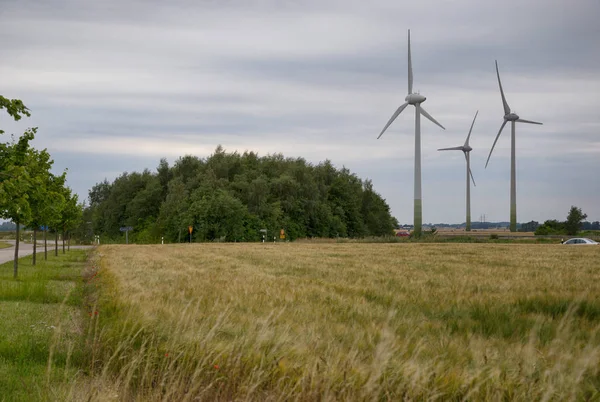 Kırsaldaki rüzgar türbini.