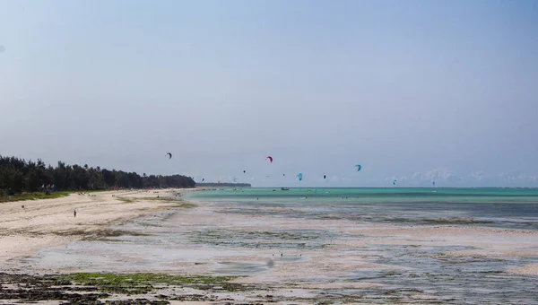 Tropikal okyanusta kitesurf yapan insanların panoramik görünümü