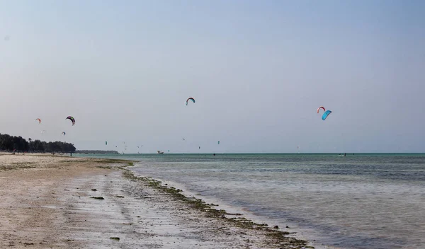 Tropikal okyanusta kitesurf yapan insanların panoramik görünümü