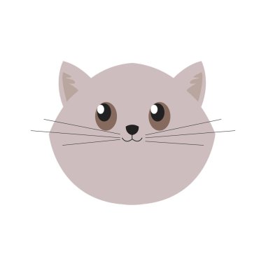 mevduat kedi yüz vektor