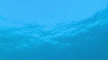 Mavi deniz su ve deniz dalgaları