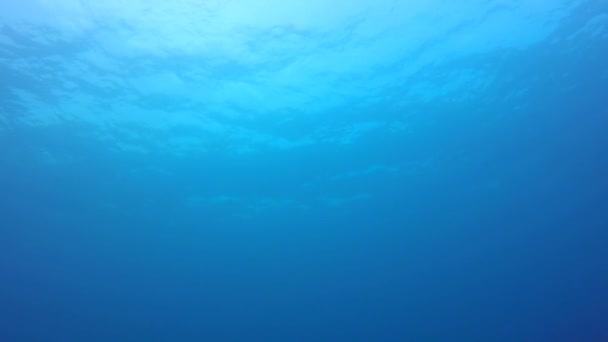 Modré mořské vody — Stock video