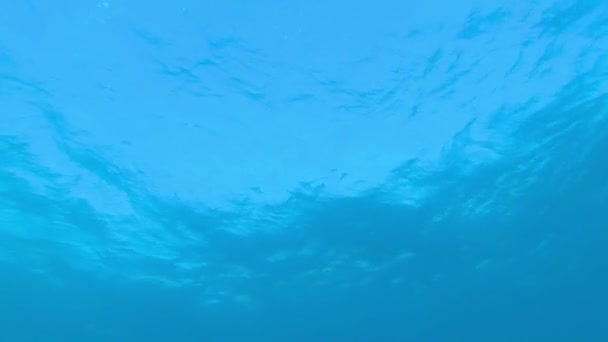 Deniz Dalgaları ve Mavi Deniz Suyu — Stok video
