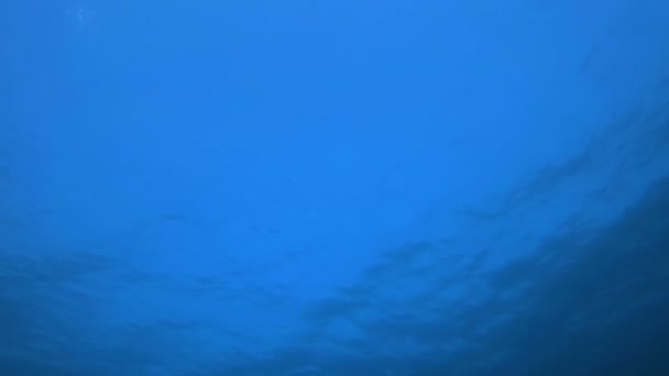 Hintergrund der blauen Wasseroberfläche — Stockvideo