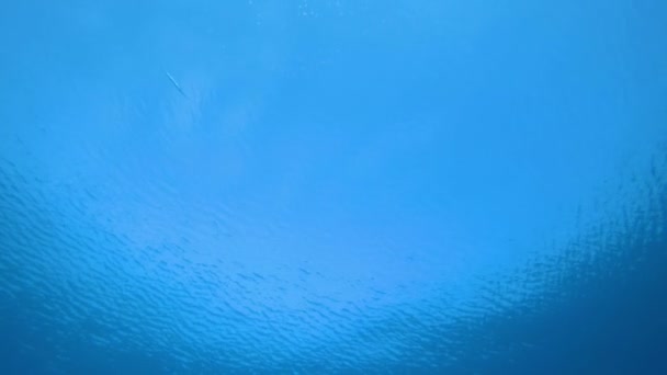 Голубая вода — стоковое видео