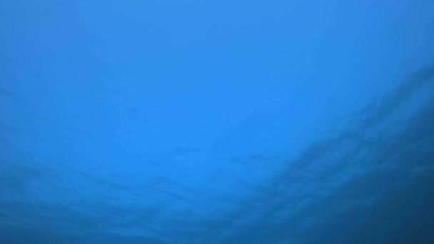 Fundo azul subaquático — Vídeo de Stock