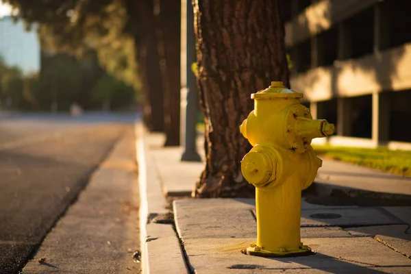 Um hidrante amarelo ao lado do lado de uma estrada durante o pôr do sol em LA, América — Fotografia de Stock