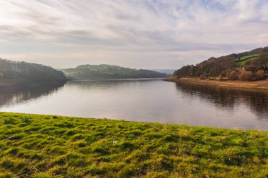 Güzel bahar dat Damflask rezervuar Peak District