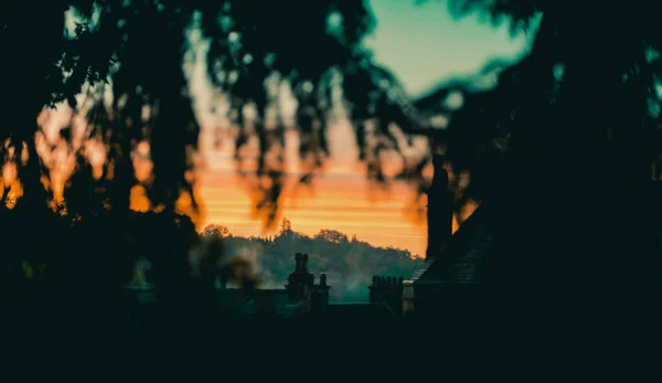 Hermoso amanecer frío anaranjado y azul en la campiña inglesa escondido detrás de un gran árbol de coníferas —  Fotos de Stock