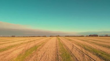 Havadan gelen drone, taze kesilmiş bir buğday tarlası üzerinde güneşin doğuşunun üzerinde düşük uçuyor-yaz 2018