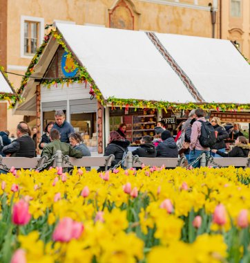 Prag, Çekya - 10 Nisan 2019: Prag'daki Paskalya Pazarı'nda çiçeklernergileçevrili eski şehir meydanında kalabalıklar