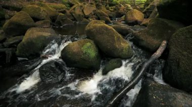 Peak District, İngiltere'de yosunlu kayalar üzerinde küçük bir orman dere watefall 4k görüntüleri