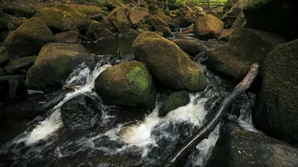 4k-beelden van een kleine bosstroom watefall over Mossy Rocks in het Peak District, UK — Stockvideo