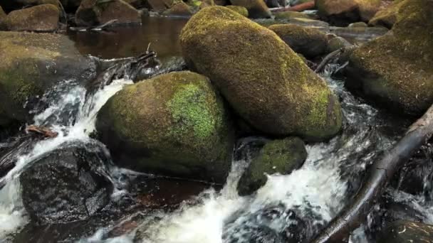 Movimiento super lento de un pequeño arroyo bosque watefall sobre rocas musgosas en el Peak District, Uk — Vídeo de stock