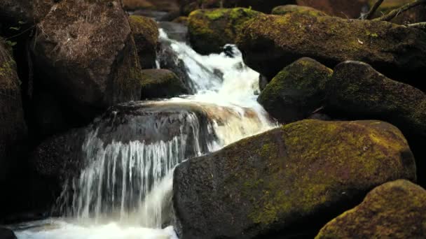 Filmagem em 4K de um pequeno riacho florestal sobre rochas musgosas no Peak District, Reino Unido — Vídeo de Stock