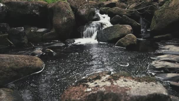 Ein flacher wasserfall versteckt inmitten eines waldes im vereinigten königreich, europa - frühling 2019 — Stockvideo