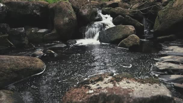 Una cascata poco profonda nascosta nel mezzo di una foresta nel Regno Unito, Europa - Primavera 2019 — Video Stock