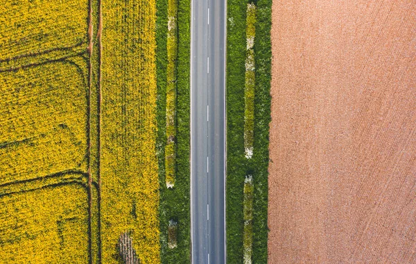 Colpo aereo di strada stretta tra erba verde sole, colza — Foto Stock