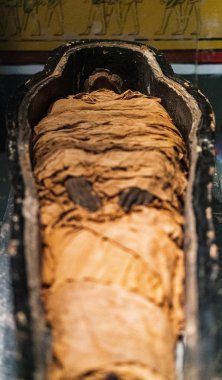 Eski bir mumya bir lahit içinde ceset görülecek üst açık sarar kaplı yatıyordu