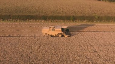 Sheffield, İngiltere - 24 Ağustos 2019: Yorkshire, İngiltere'de buğday tarlası hasat eden bir Kombine Hasat Makinesinin hızıyla eşleşen hava tavası
