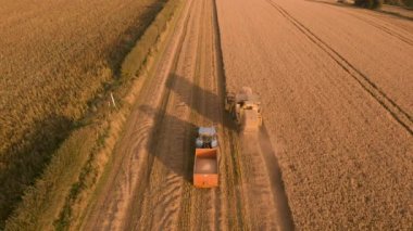 Gün Batımında Harvester ve Tahıl Sepeti birleştirin - Hava 4k görüntüleri