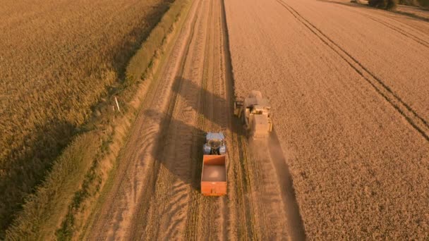 Combine Harvester e carrinho de grãos ao pôr do sol - Filmagem aérea 4K — Vídeo de Stock