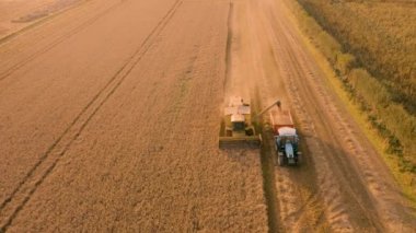 Gün Batımında Harvester ve Tahıl Sepeti birleştirin - Hava 4k görüntüleri