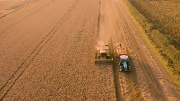 Combineer Harvester en graan kar bij zonsondergang-luchtfoto 4k beelden — Stockvideo