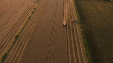 İngiltere'de buğday tarlaları hasat Birleştirin Amazing günbatımı görüntüleri. Ağustos ayında çekilen havadan 4k görüntüleri