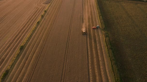 Fantastiska solnedgång bilder av skördetröskor skörd vete fält i Storbritannien. Aerial 4K-bilder tagna i augusti — Stockvideo